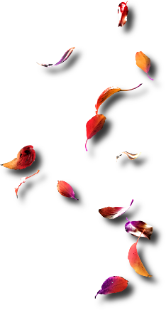 sticker_12637227_47469358