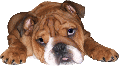sticker_12921400_26277785