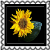 sticker_11782299_37131534