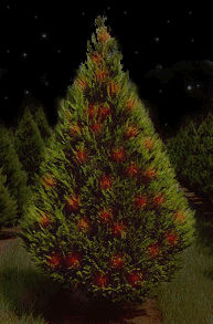 sticker_22882281_44581670