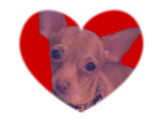 sticker_7487482_26631055