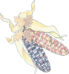 sticker_6507361_43924428