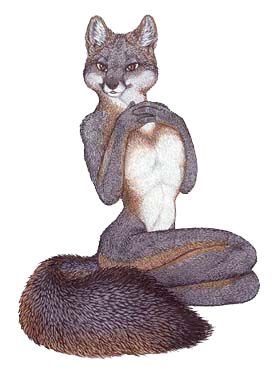 sticker_1558290_2898675
