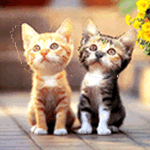 sticker_8120314_45759940