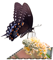 sticker_11439782_22124246