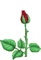 sticker_28472560_45249686