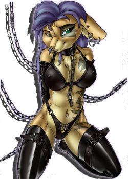 sticker_22037069_47479558