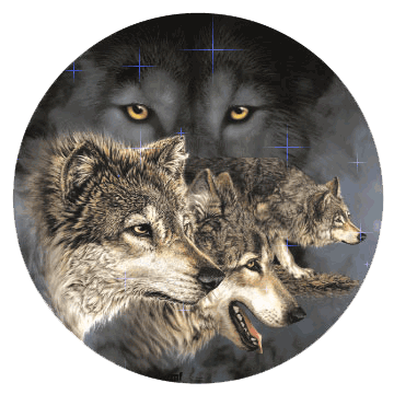 sticker_8229324_22815674