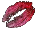 sticker_20089537_29940712