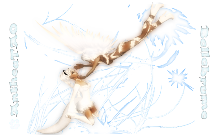 sticker_34162250_47352438