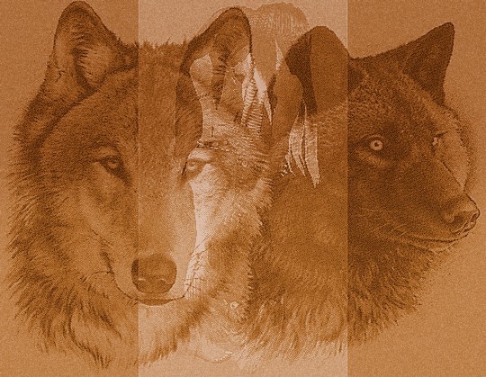 sticker_18382054_24291302