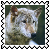 sticker_15619627_25901652