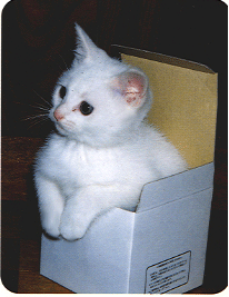 sticker_28282022_41810540