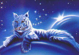 sticker_3164583_46737233