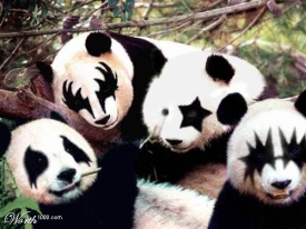 sticker_7479536_23773425