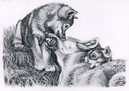 sticker_20076486_47400633