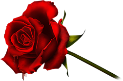 sticker_10974520_43922951