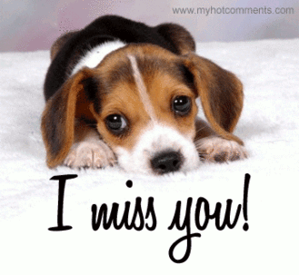 sticker_25812339_47589491