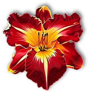 sticker_25369378_47573761
