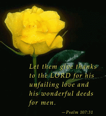 sticker_15200572_33678915