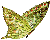 sticker_26990831_41953748
