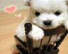 sticker_27320885_43743617