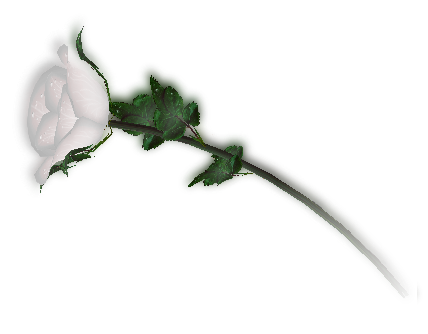 sticker_54429794_107