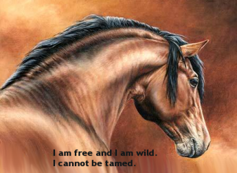 sticker_31467274_47210347