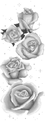 sticker_11221424_47557574