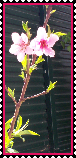 sticker_21920493_47510085