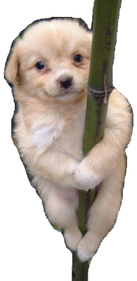 sticker_30596740_47580328