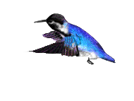 sticker_6717351_20201052