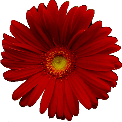 sticker_4984633_45648203