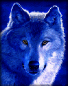 sticker_36296040_114