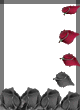 sticker_11823771_25051383