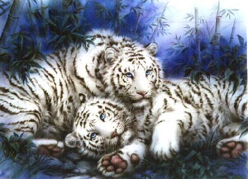 sticker_3164583_39971674