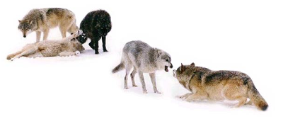sticker_12417504_22665641