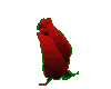 sticker_35468056_36