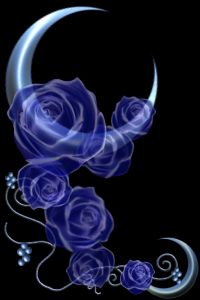 sticker_6804046_8268449