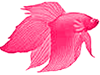 sticker_29732997_47319811
