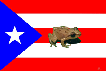 sticker_16114839_44925036
