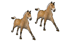 sticker_11443874_47084304