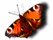 sticker_33427757_46393171