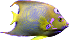sticker_12517070_37594688