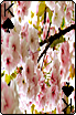 sticker_715086_47602942