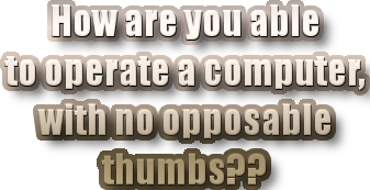sticker_8952622_11226284