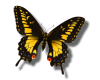 sticker_2175267_44894389