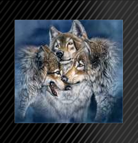sticker_31558514_46043484