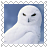 sticker_17588002_46704020