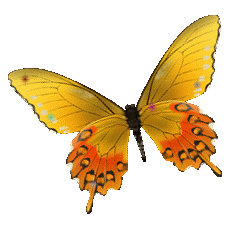 sticker_20158589_47488480